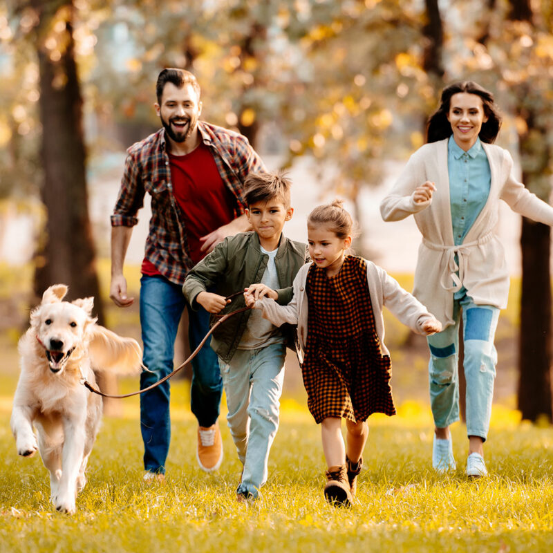 elet-egeszsegvedelem-biztositas-azonnal-1 elet-egeszsegvedelem-biztositas-azonnal-1